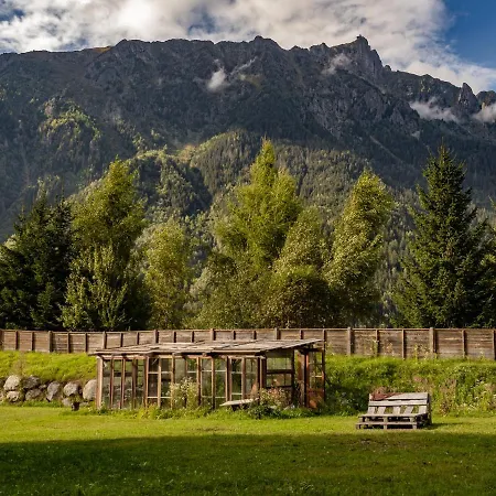 Hi بيت شباب *